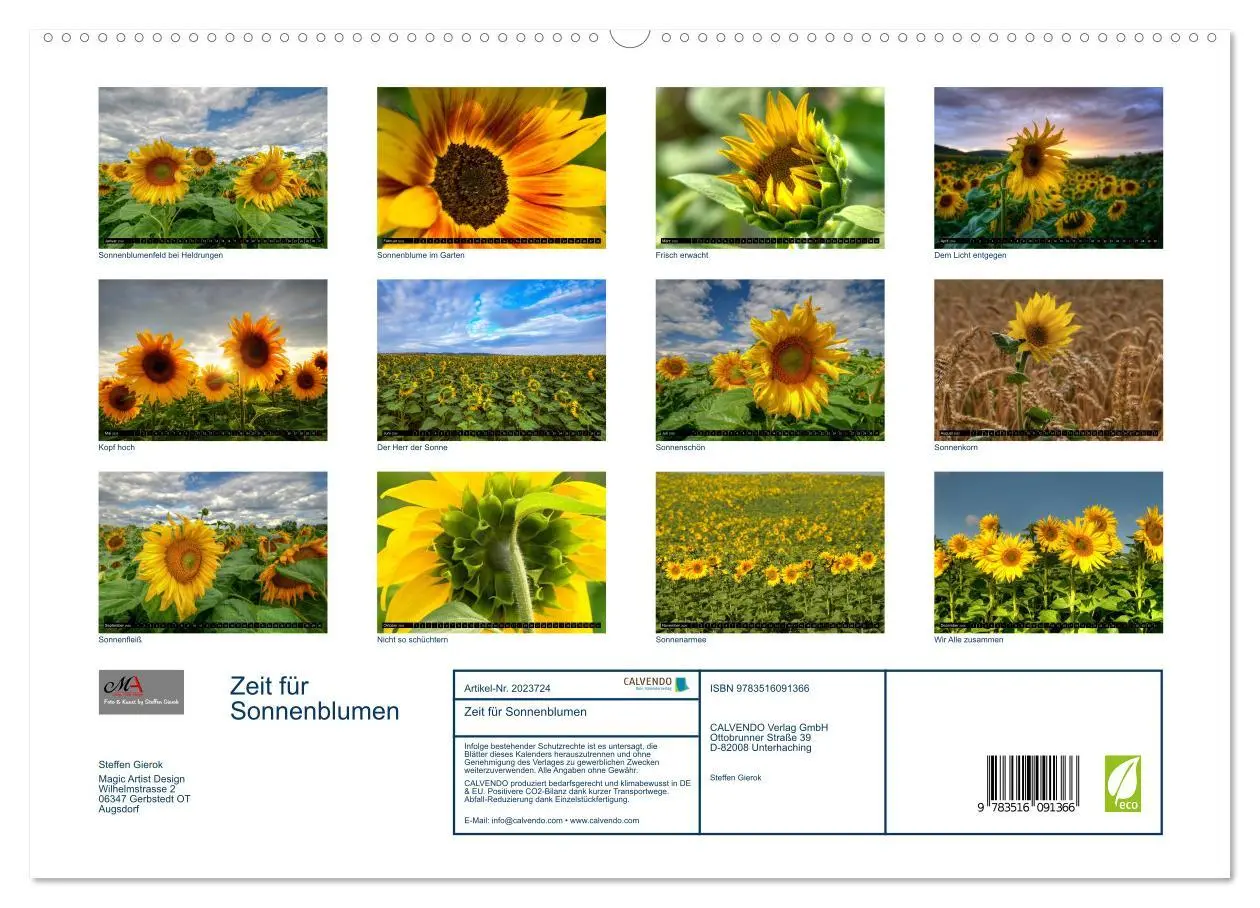 Bild: 9783516091366 | Zeit für Sonnenblumen (hochwertiger Premium Wandkalender 2026 DIN...