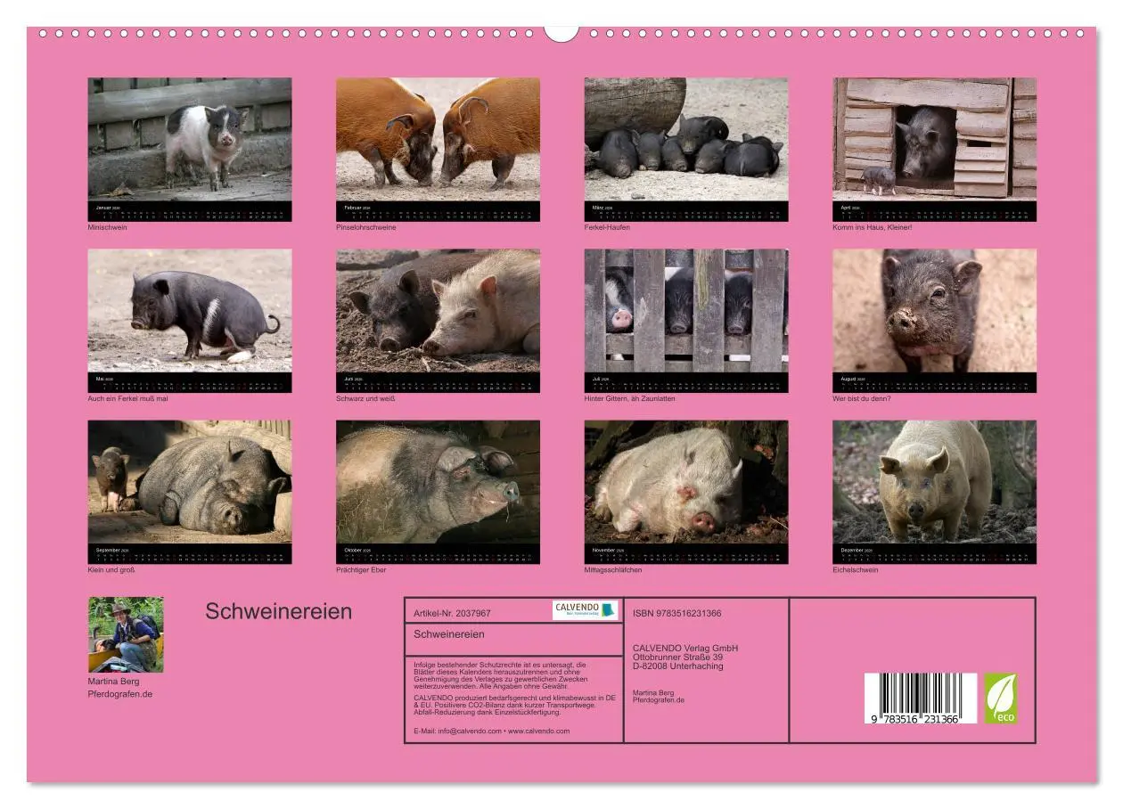 Bild: 9783516231366 | Schweinereien (hochwertiger Premium Wandkalender 2026 DIN A2 quer),...