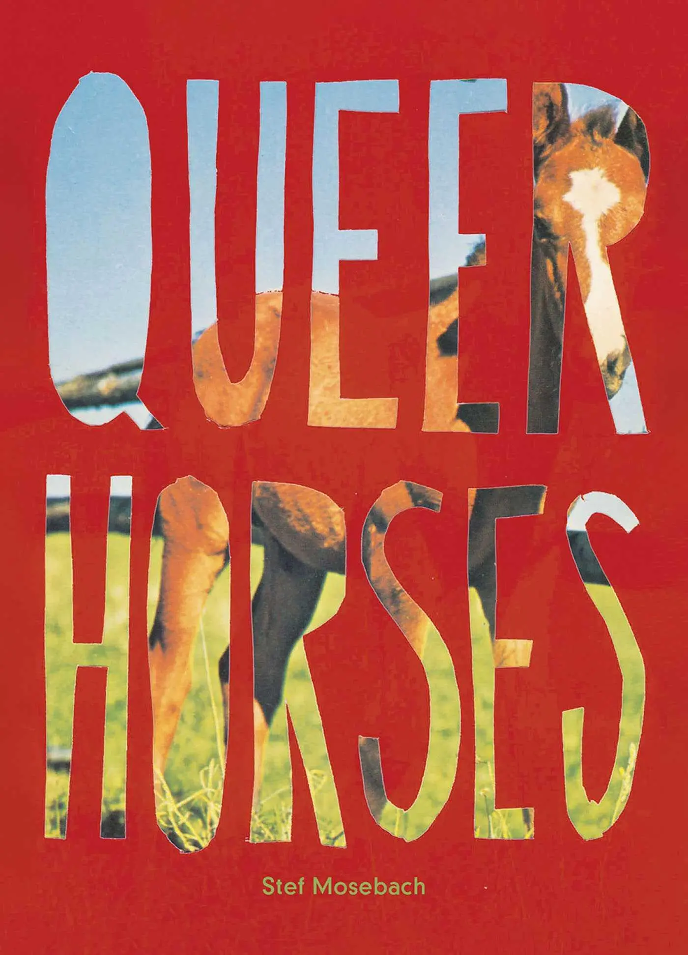 Cover: 9783987411366 | Queer Horses | Stefan Mosebach | Taschenbuch | 80 S. | Englisch | 2024