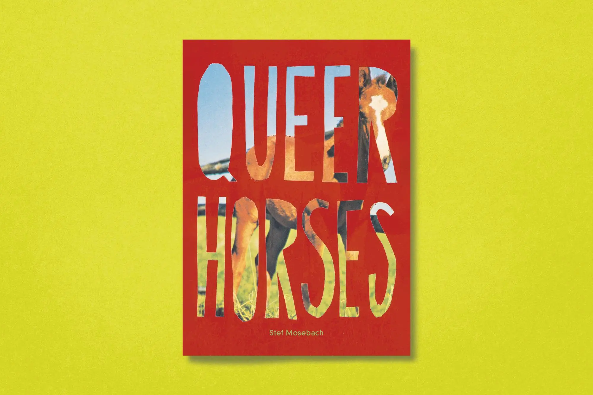 Bild: 9783987411366 | Queer Horses | Stef Mosebach | Taschenbuch | 80 S. | Englisch | 2024