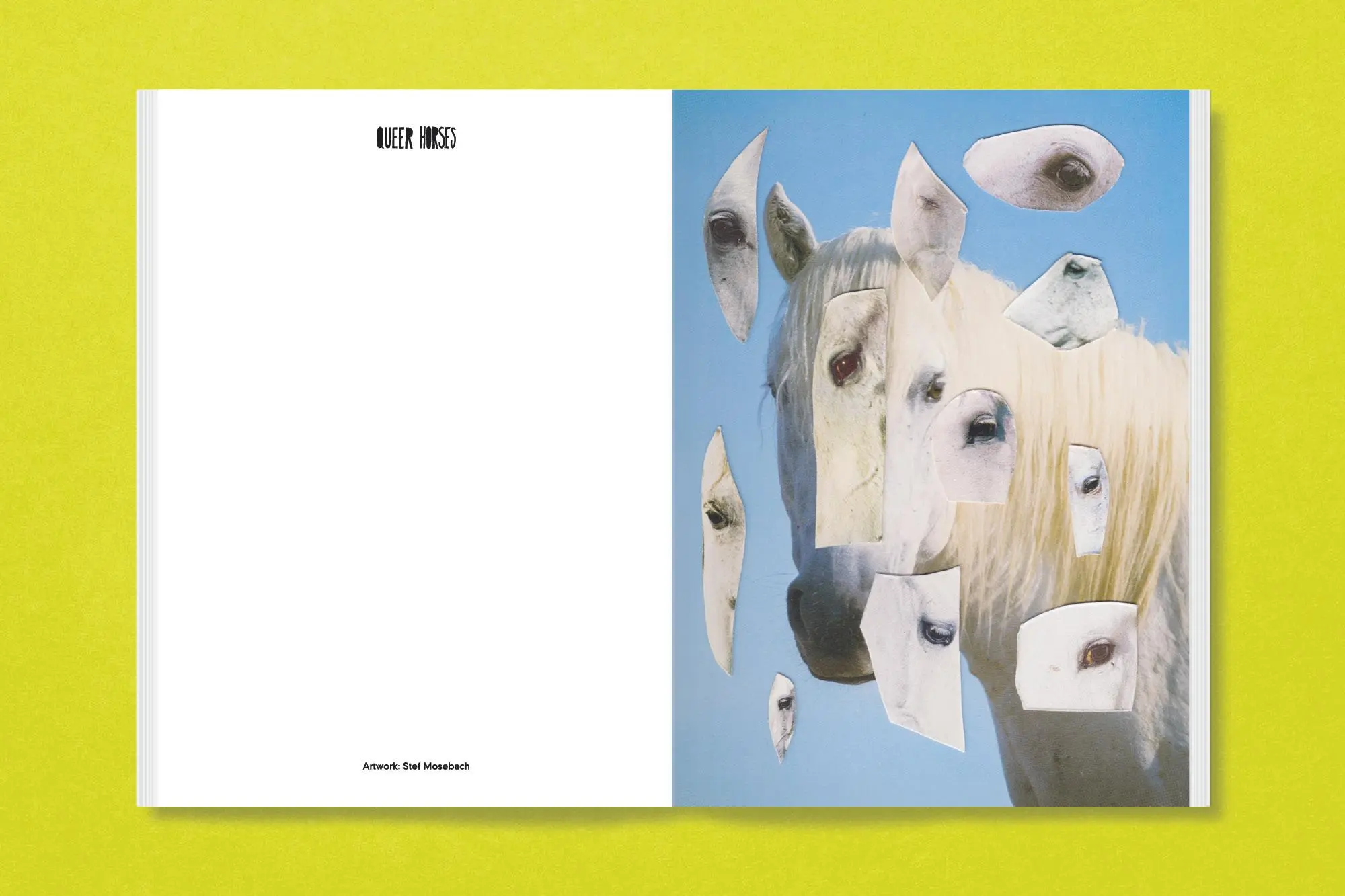 Bild: 9783987411366 | Queer Horses | Stef Mosebach | Taschenbuch | 80 S. | Englisch | 2024