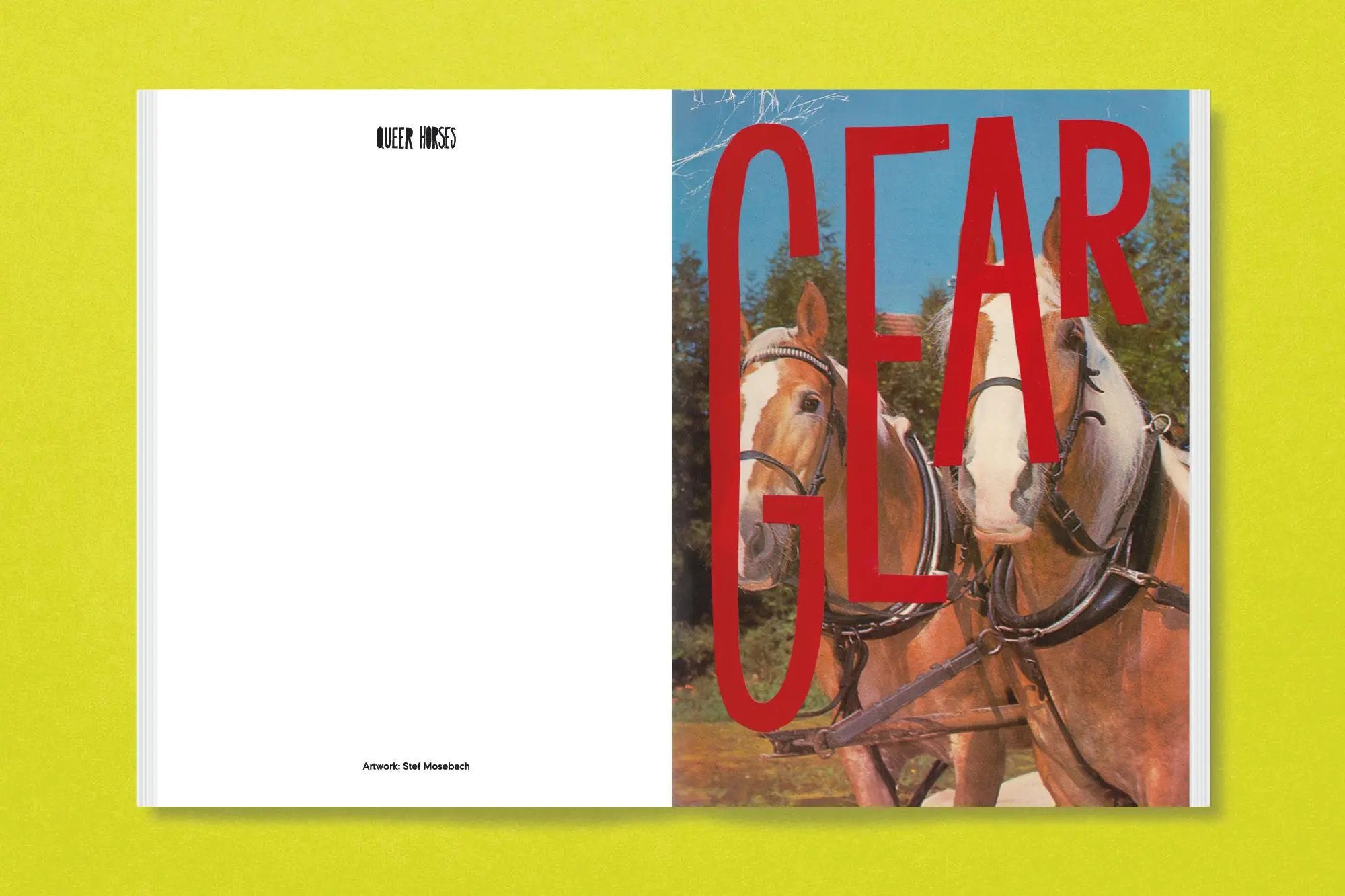 Bild: 9783987411366 | Queer Horses | Stef Mosebach | Taschenbuch | 80 S. | Englisch | 2024