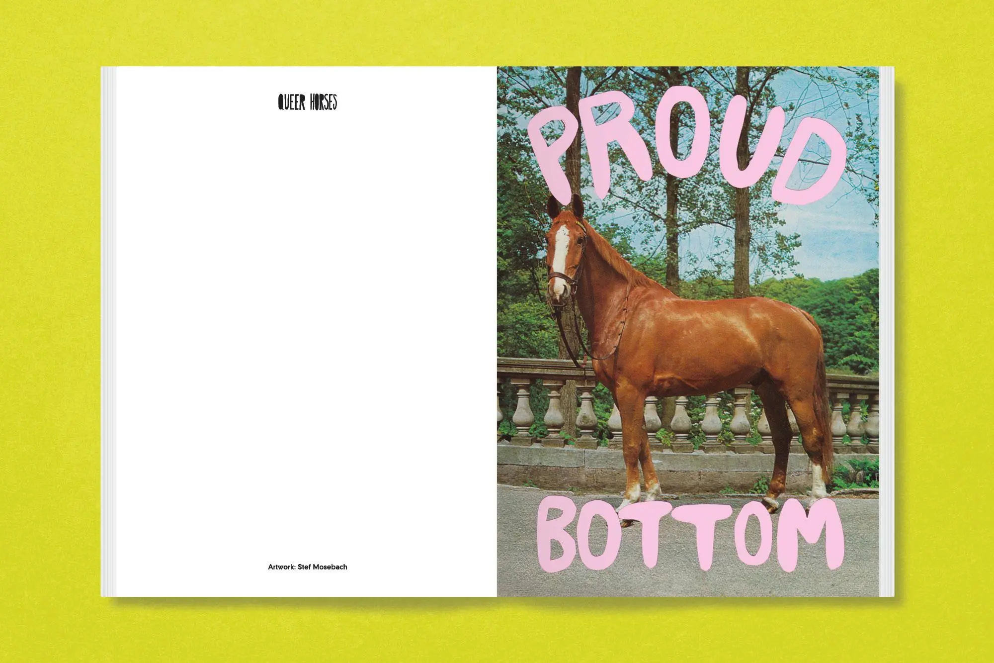 Bild: 9783987411366 | Queer Horses | Stef Mosebach | Taschenbuch | 80 S. | Englisch | 2024