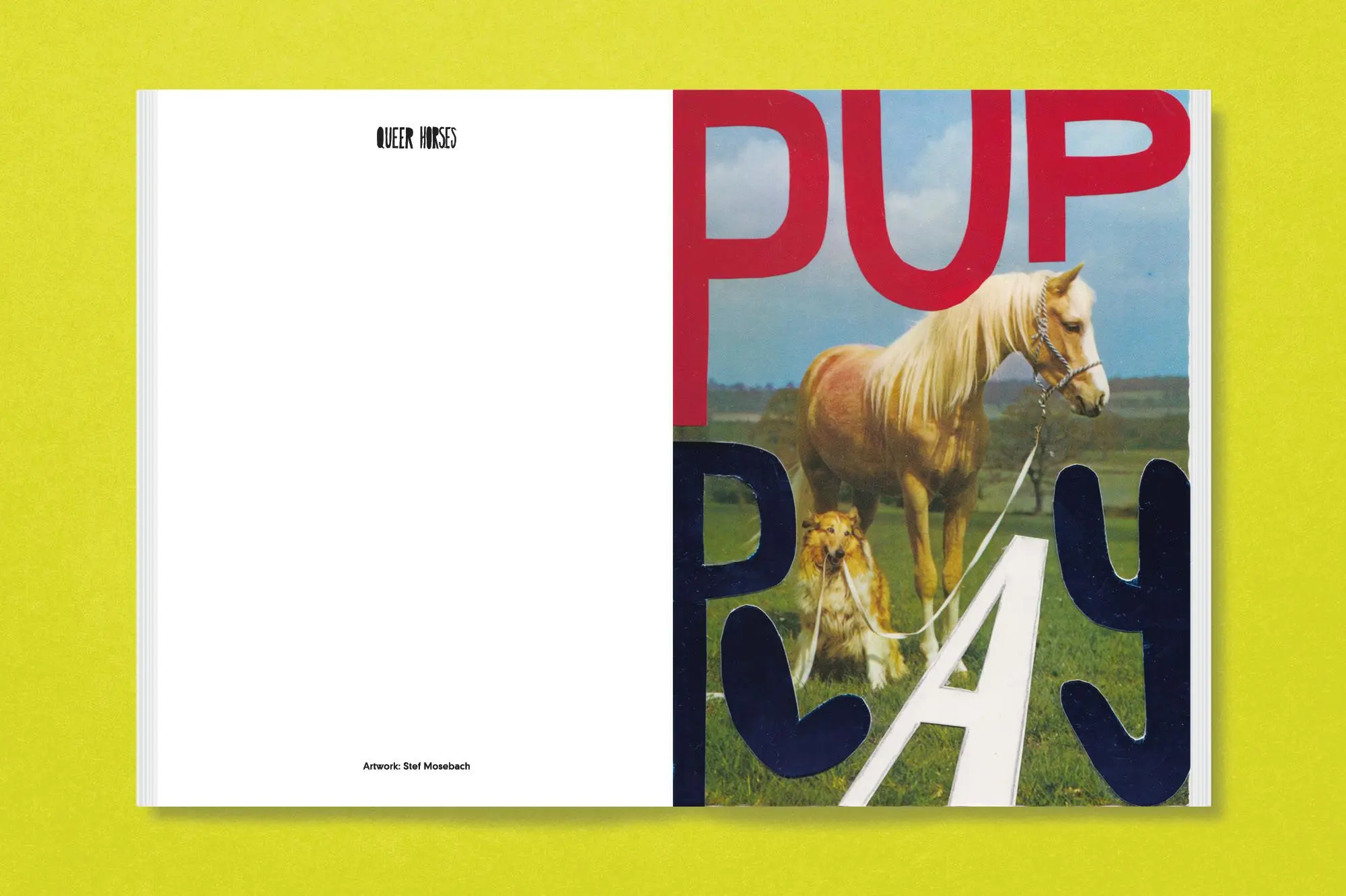 Bild: 9783987411366 | Queer Horses | Stef Mosebach | Taschenbuch | 80 S. | Englisch | 2024