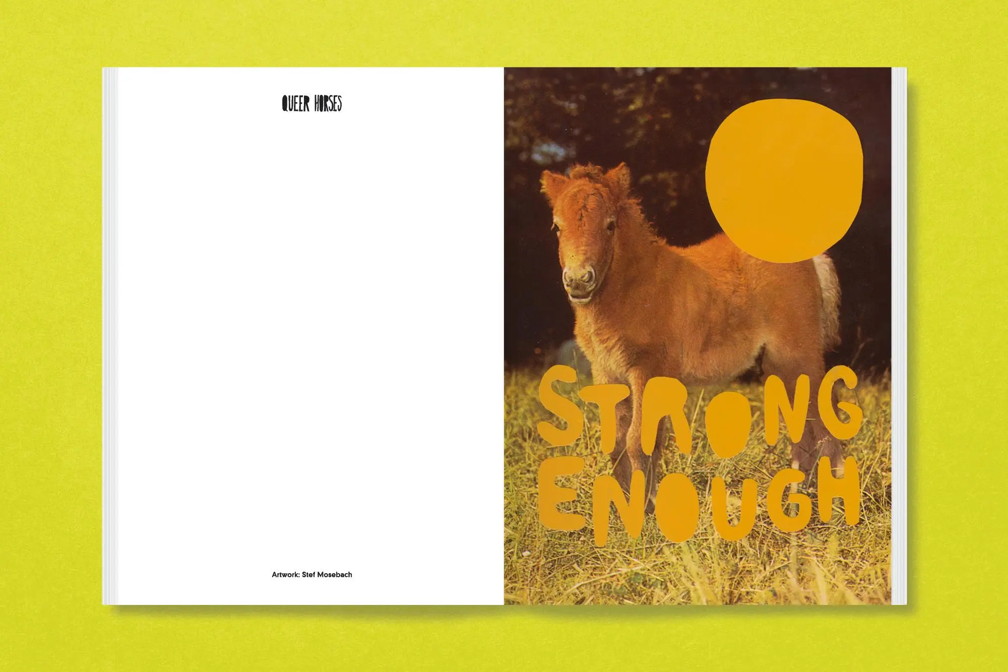 Bild: 9783987411366 | Queer Horses | Stef Mosebach | Taschenbuch | 80 S. | Englisch | 2024
