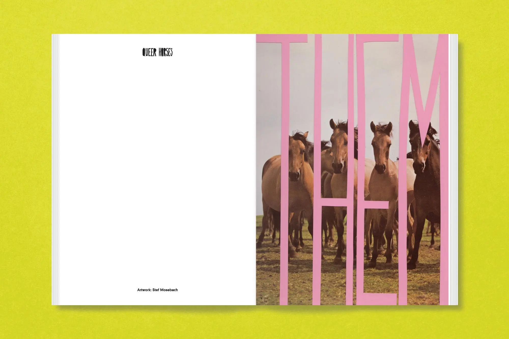 Bild: 9783987411366 | Queer Horses | Stef Mosebach | Taschenbuch | 80 S. | Englisch | 2024