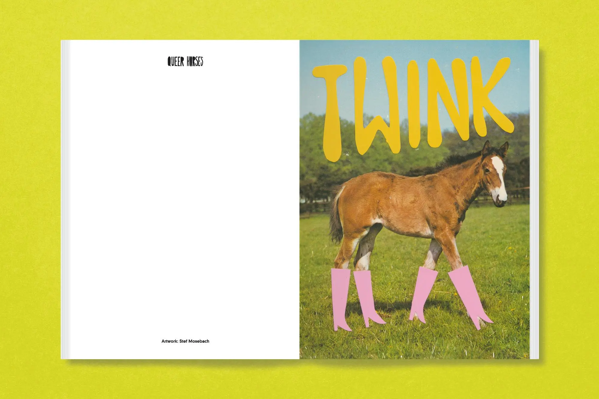 Bild: 9783987411366 | Queer Horses | Stef Mosebach | Taschenbuch | 80 S. | Englisch | 2024