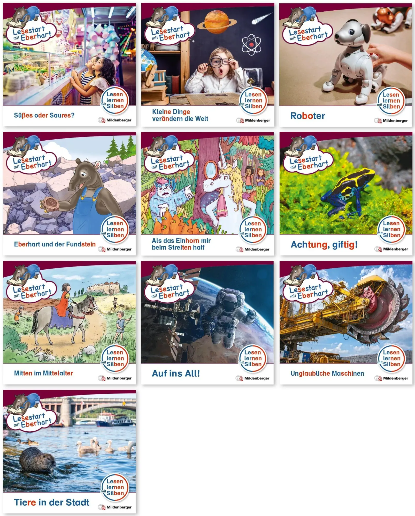 Cover: 9783619041466 | Paket - Lesestart mit Eberhart, Lesestufe 5: Komplettbezug Heft 91-100