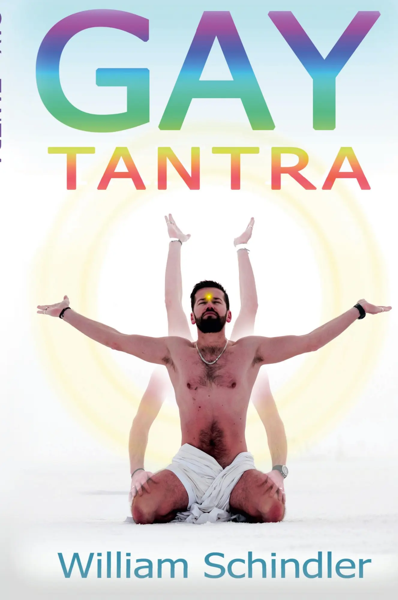 Cover: 9781387031566 | Gay Tantra | William Schindler | Taschenbuch | Englisch | 2017