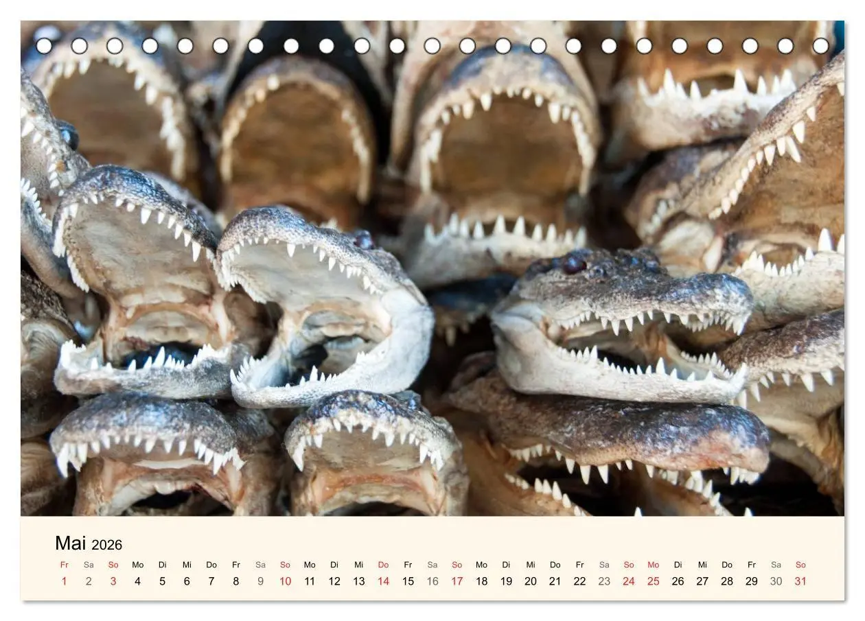 Bild: 9783516141566 | Sommer in New Orleans (Tischkalender 2026 DIN A5 quer), CALVENDO...