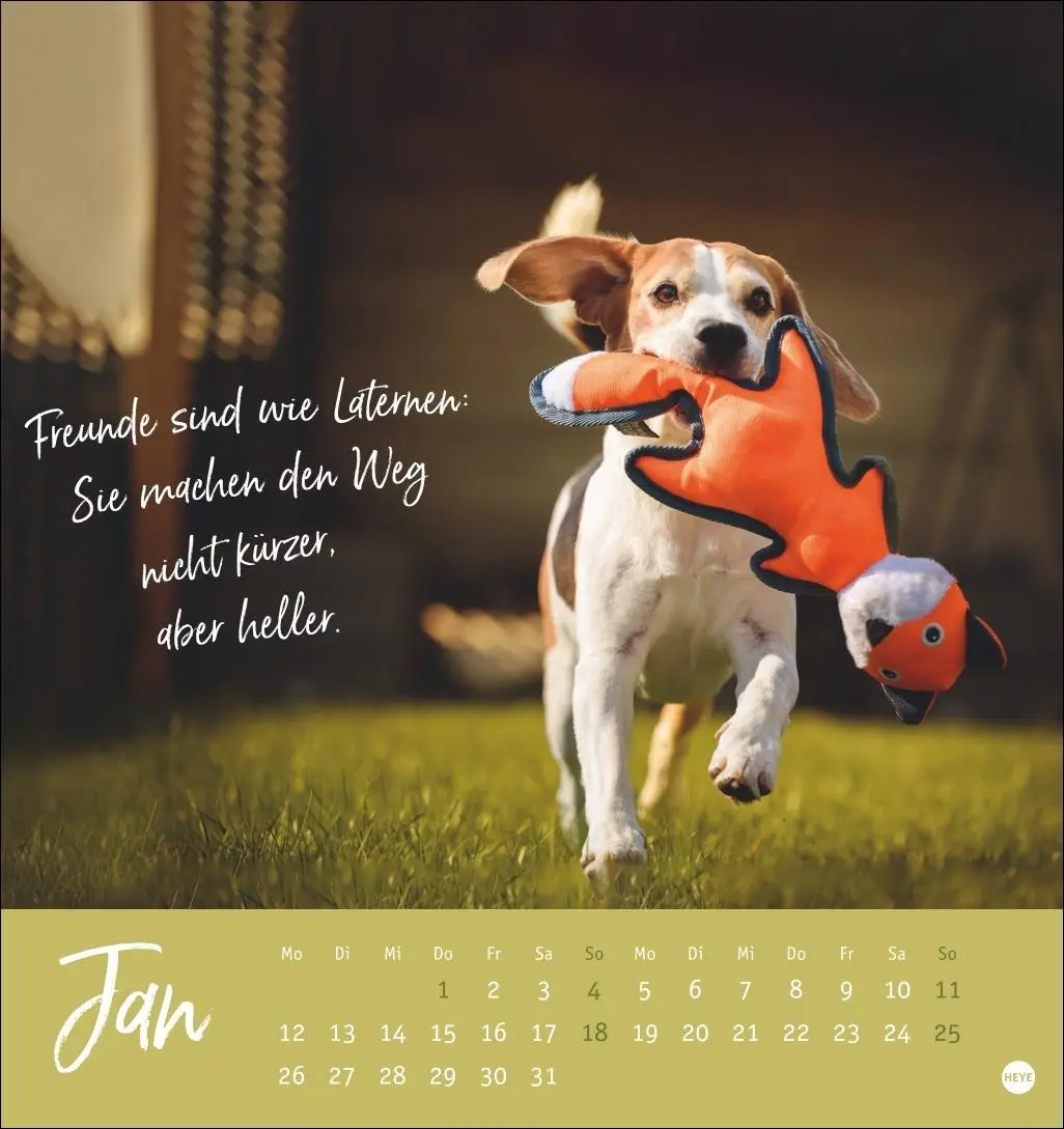 Bild: 9783756411566 | Ziemlich beste Freunde Postkartenkalender 2026 - Für immer dein | Heye
