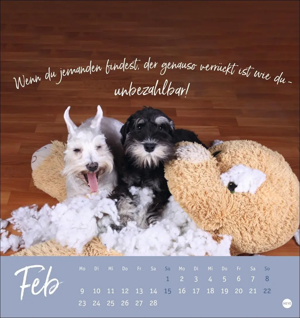 Bild: 9783756411566 | Ziemlich beste Freunde Postkartenkalender 2026 - Für immer dein | Heye