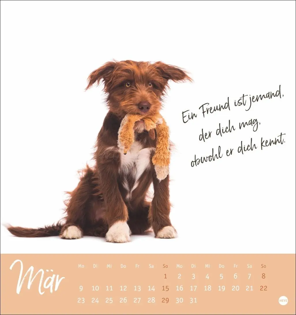 Bild: 9783756411566 | Ziemlich beste Freunde Postkartenkalender 2026 - Für immer dein | Heye