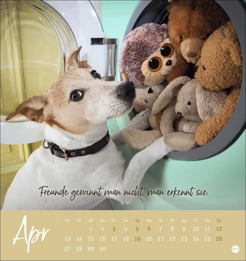 Bild: 9783756411566 | Ziemlich beste Freunde Postkartenkalender 2026 - Für immer dein | Heye