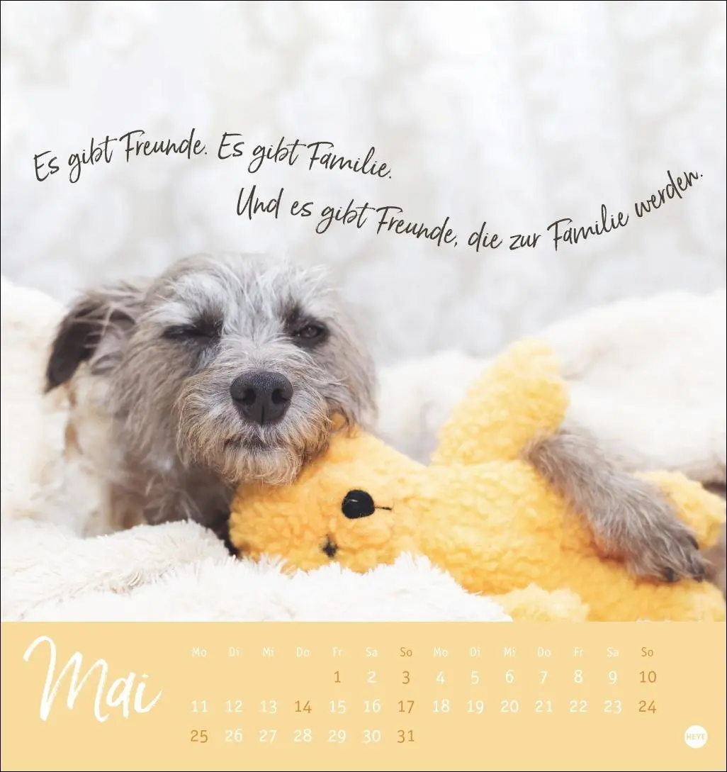 Bild: 9783756411566 | Ziemlich beste Freunde Postkartenkalender 2026 - Für immer dein | Heye