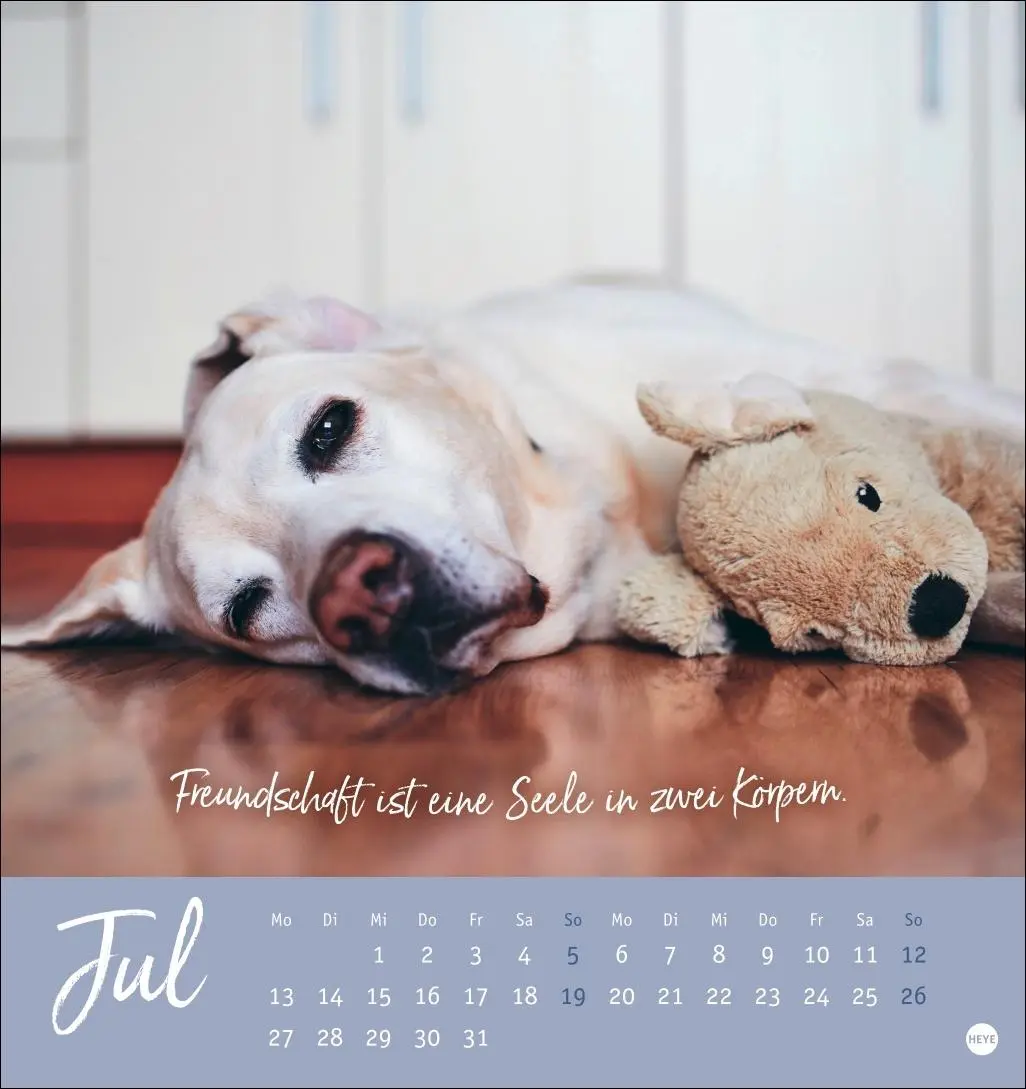Bild: 9783756411566 | Ziemlich beste Freunde Postkartenkalender 2026 - Für immer dein | Heye