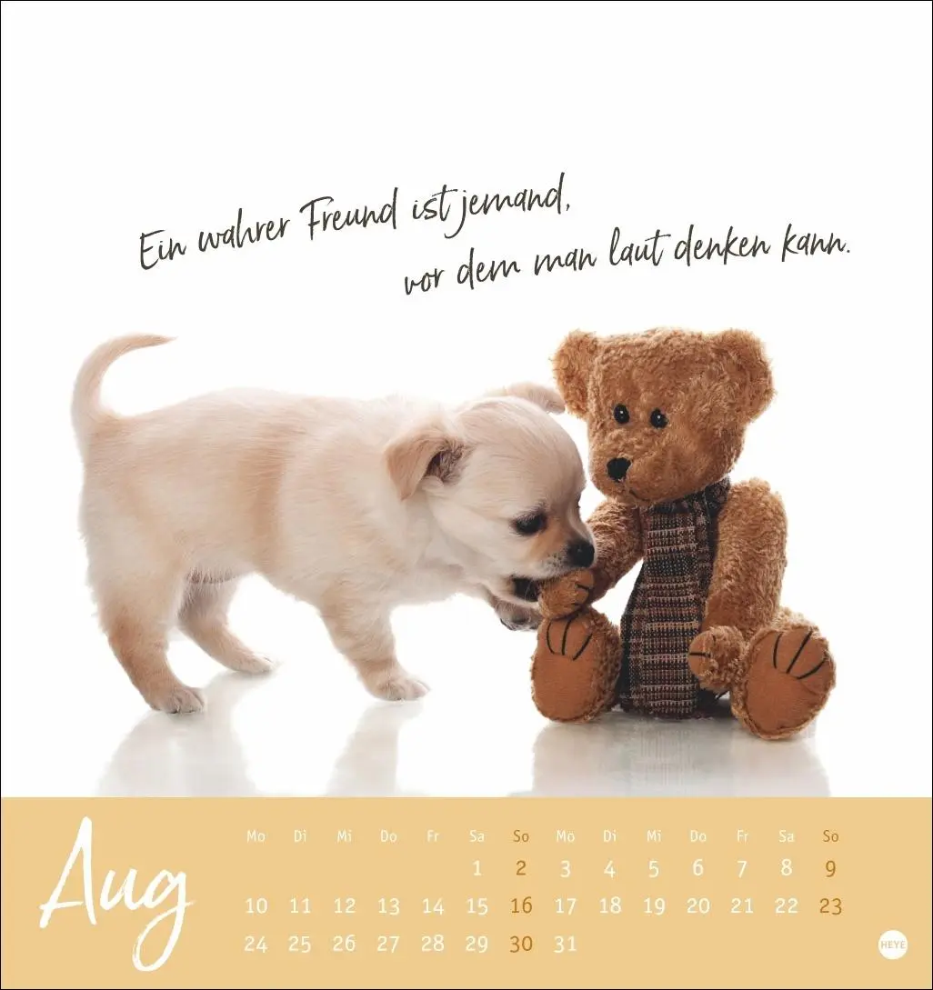Bild: 9783756411566 | Ziemlich beste Freunde Postkartenkalender 2026 - Für immer dein | Heye