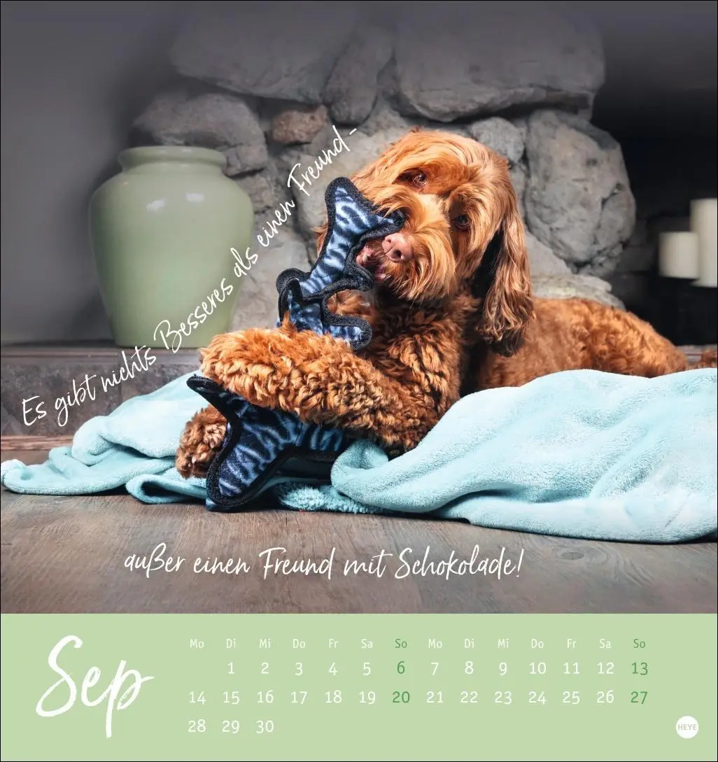 Bild: 9783756411566 | Ziemlich beste Freunde Postkartenkalender 2026 - Für immer dein | Heye