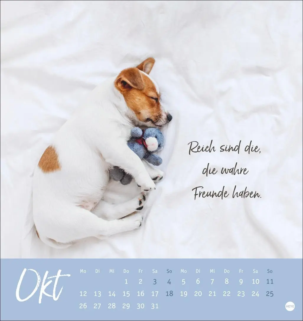 Bild: 9783756411566 | Ziemlich beste Freunde Postkartenkalender 2026 - Für immer dein | Heye