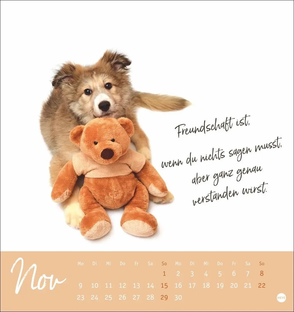 Bild: 9783756411566 | Ziemlich beste Freunde Postkartenkalender 2026 - Für immer dein | Heye