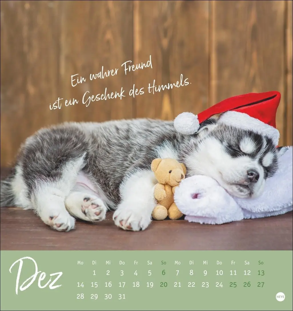 Bild: 9783756411566 | Ziemlich beste Freunde Postkartenkalender 2026 - Für immer dein | Heye
