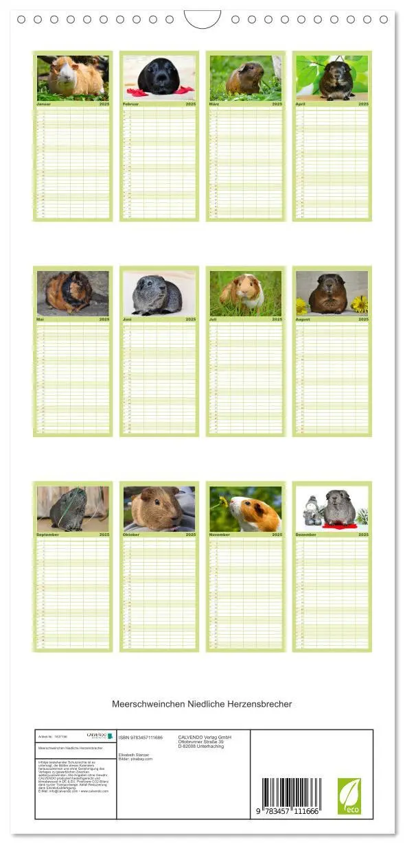 Bild: 9783457111666 | Familienplaner 2025 - Meerschweinchen Niedliche Herzensbrecher mit...