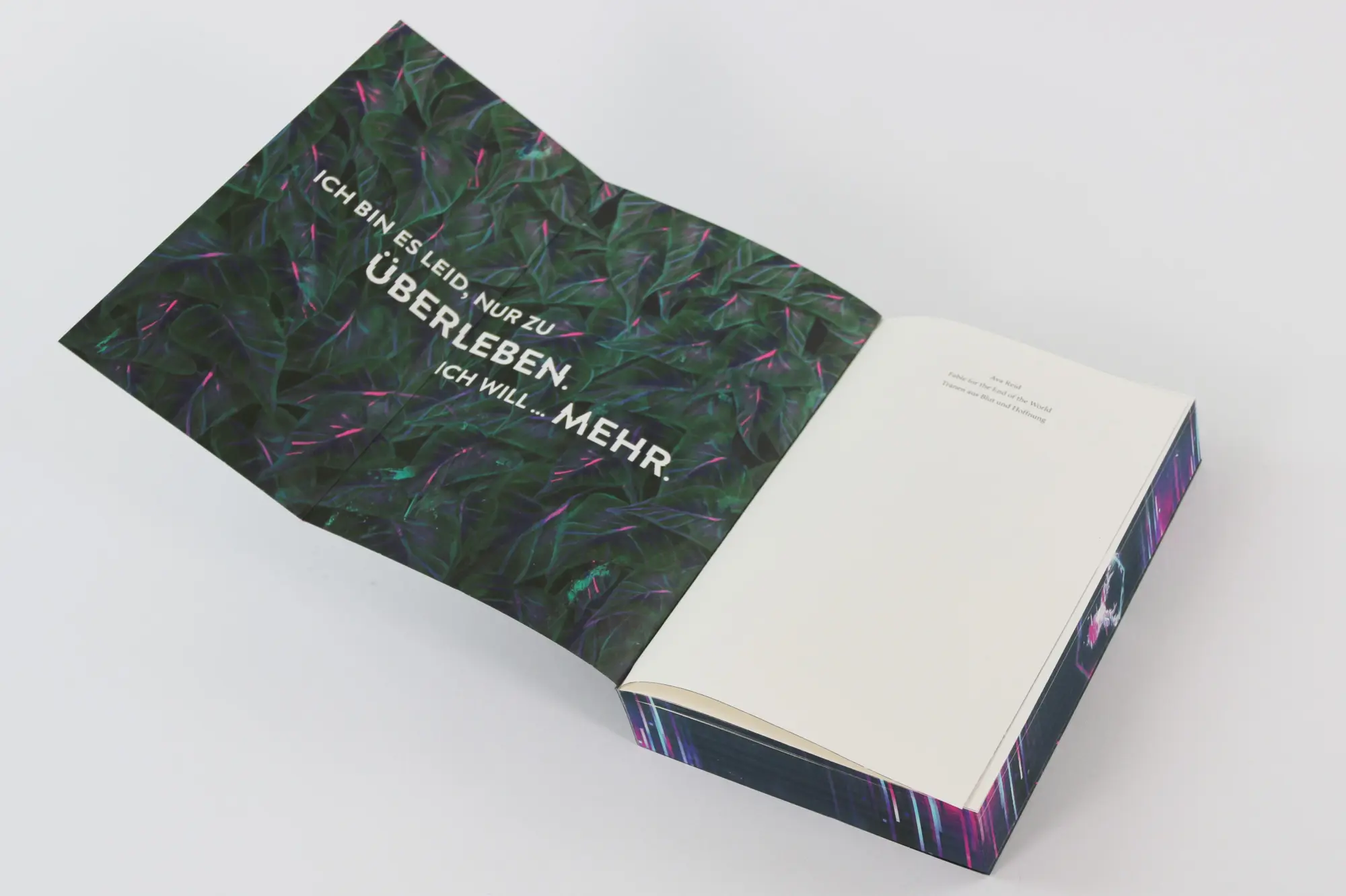 Bild: 9783743221666 | Fable for the End of the World | Ava Reid | Taschenbuch | 432 S.