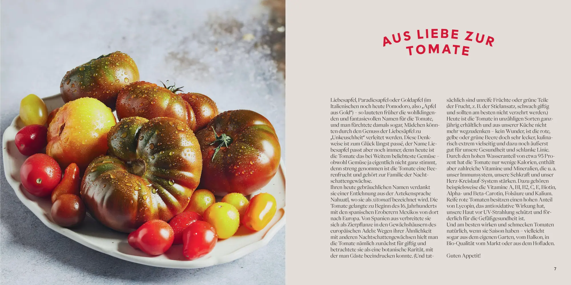 Bild: 9783799521666 | Tomaten | Neue Rezepte mit der gesunden Frucht | Buch | 64 S. | 2026