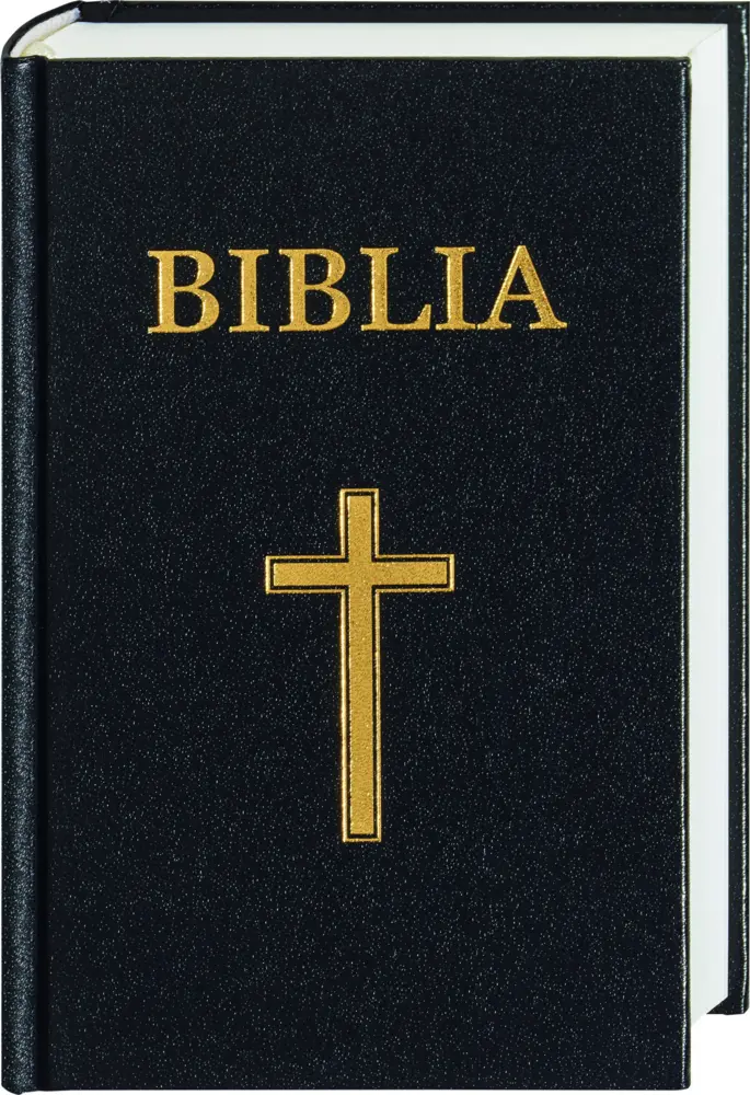 Cover: 9783438081766 | Biblia - Bibel Rumänisch | Traditionelle Übersetzung | Buch | 1223 S.