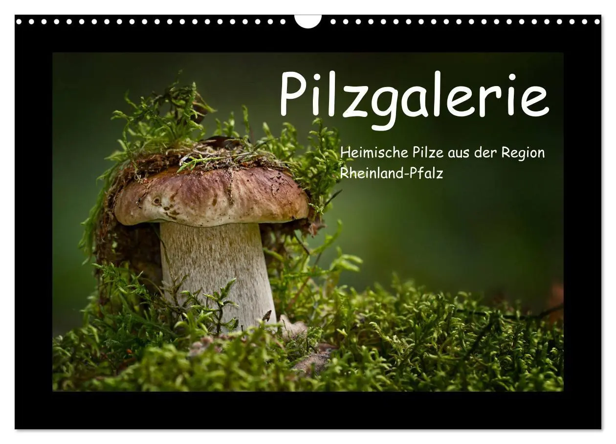 Cover: 9783457891766 | Pilzgalerie - Heimische Pilze aus der Region Rheinland-Pfalz...