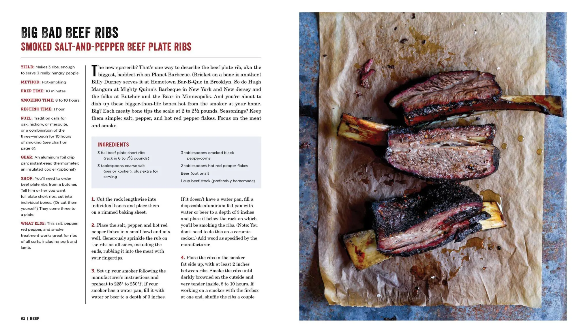 Bild: 9780761181866 | Project Smoke | Steven Raichlen | Taschenbuch | Workman Adult | 2016