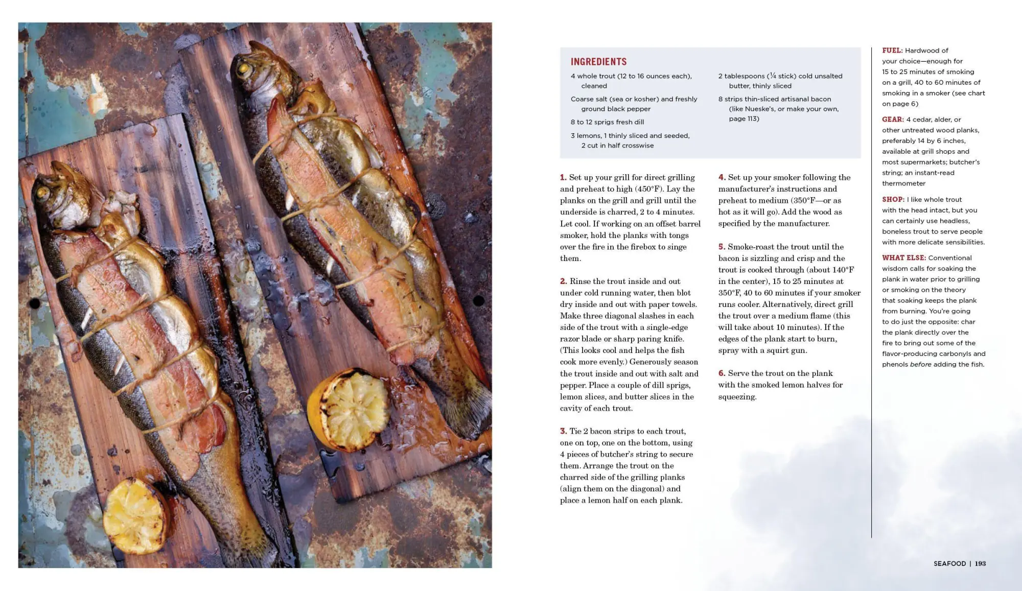 Bild: 9780761181866 | Project Smoke | Steven Raichlen | Taschenbuch | Workman Adult | 2016