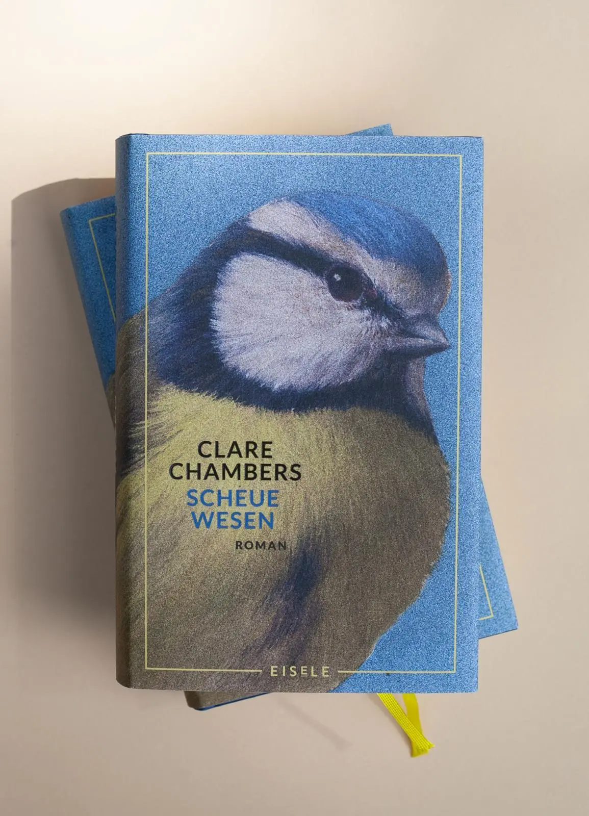 Bild: 9783961611966 | Scheue Wesen | Clare Chambers | Buch | 512 S. | Deutsch | 2024
