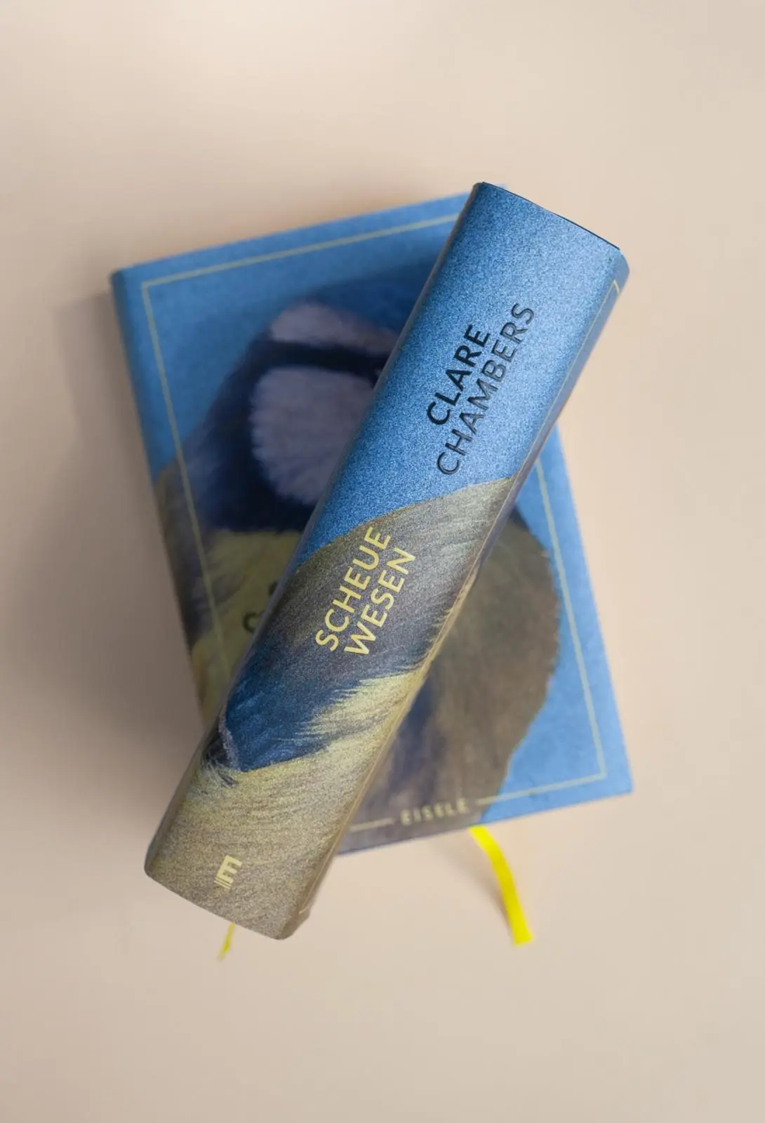 Bild: 9783961611966 | Scheue Wesen | Clare Chambers | Buch | 512 S. | Deutsch | 2024