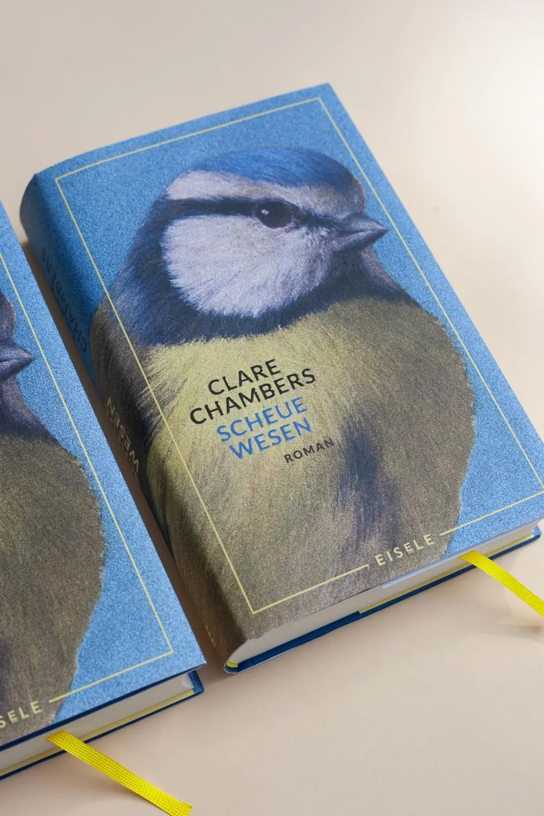 Bild: 9783961611966 | Scheue Wesen | Clare Chambers | Buch | 512 S. | Deutsch | 2024