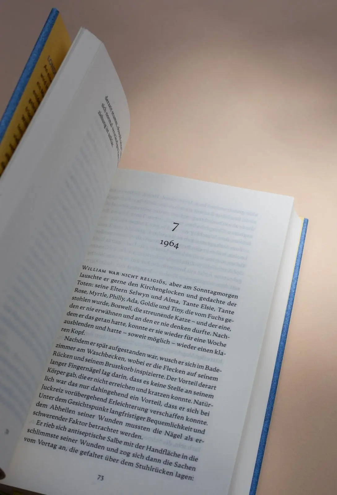 Bild: 9783961611966 | Scheue Wesen | Clare Chambers | Buch | 512 S. | Deutsch | 2024