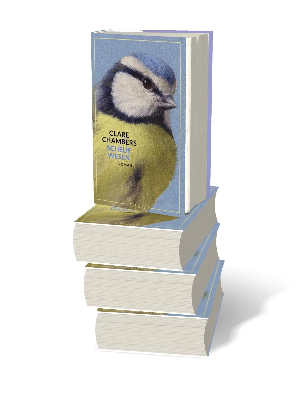 Bild: 9783961611966 | Scheue Wesen | Clare Chambers | Buch | 512 S. | Deutsch | 2024