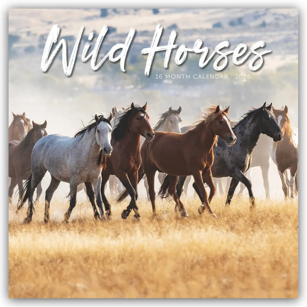 Cover: 9781529852066 | Wild Horses - Wildpferde 2026 - Wand-Kalender | Carousel Calendar