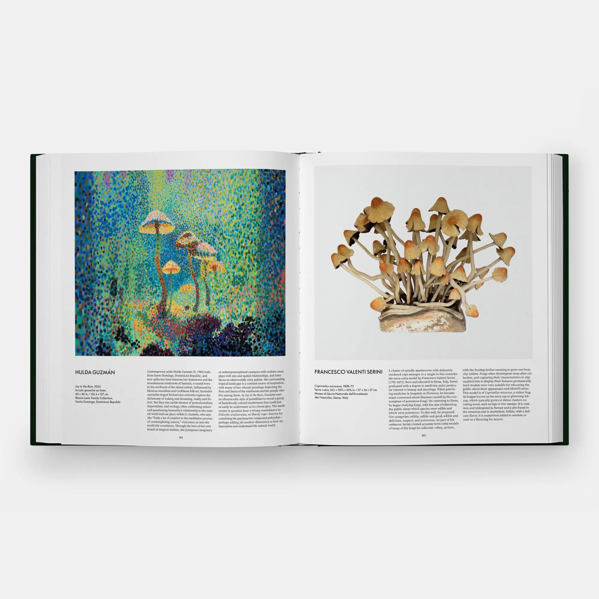 Bild: 9781837292066 | Fungi | The World of Mushrooms | Editors Phaidon (u. a.) | Buch | 2026