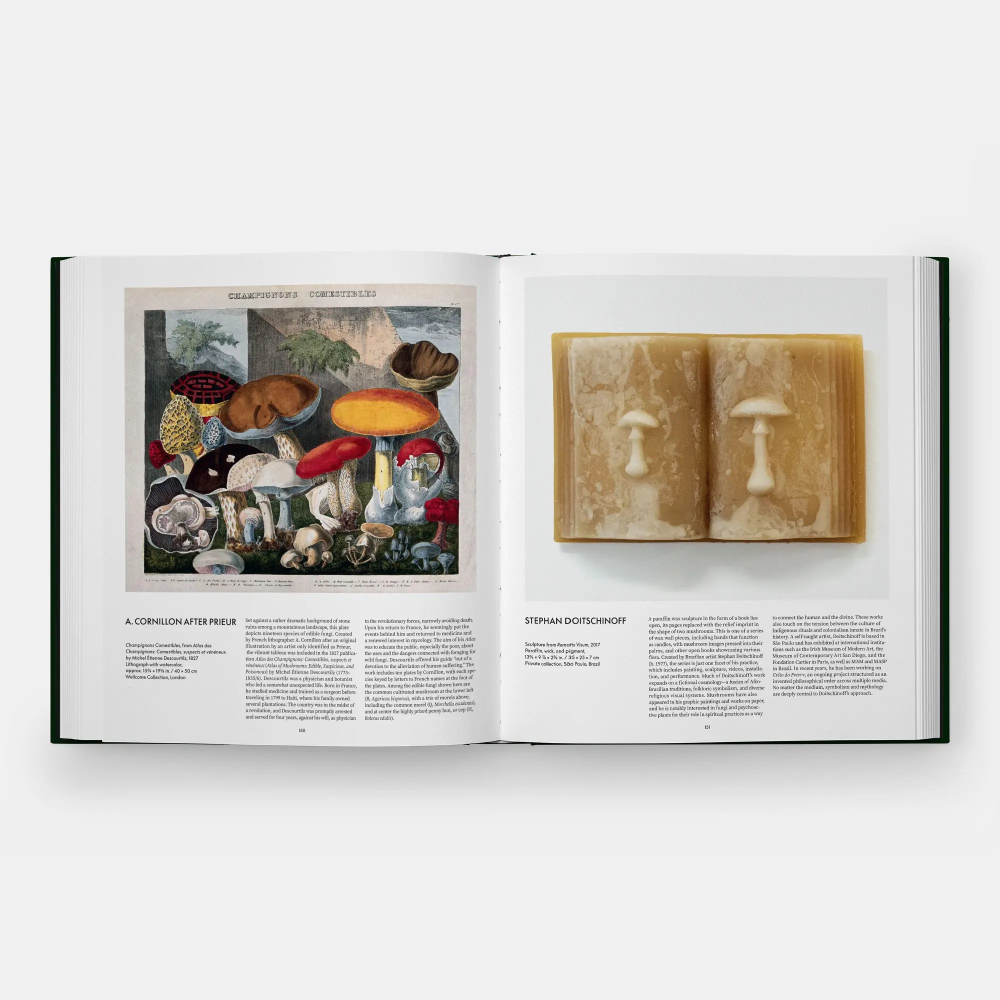 Bild: 9781837292066 | Fungi | The World of Mushrooms | Editors Phaidon (u. a.) | Buch | 2026