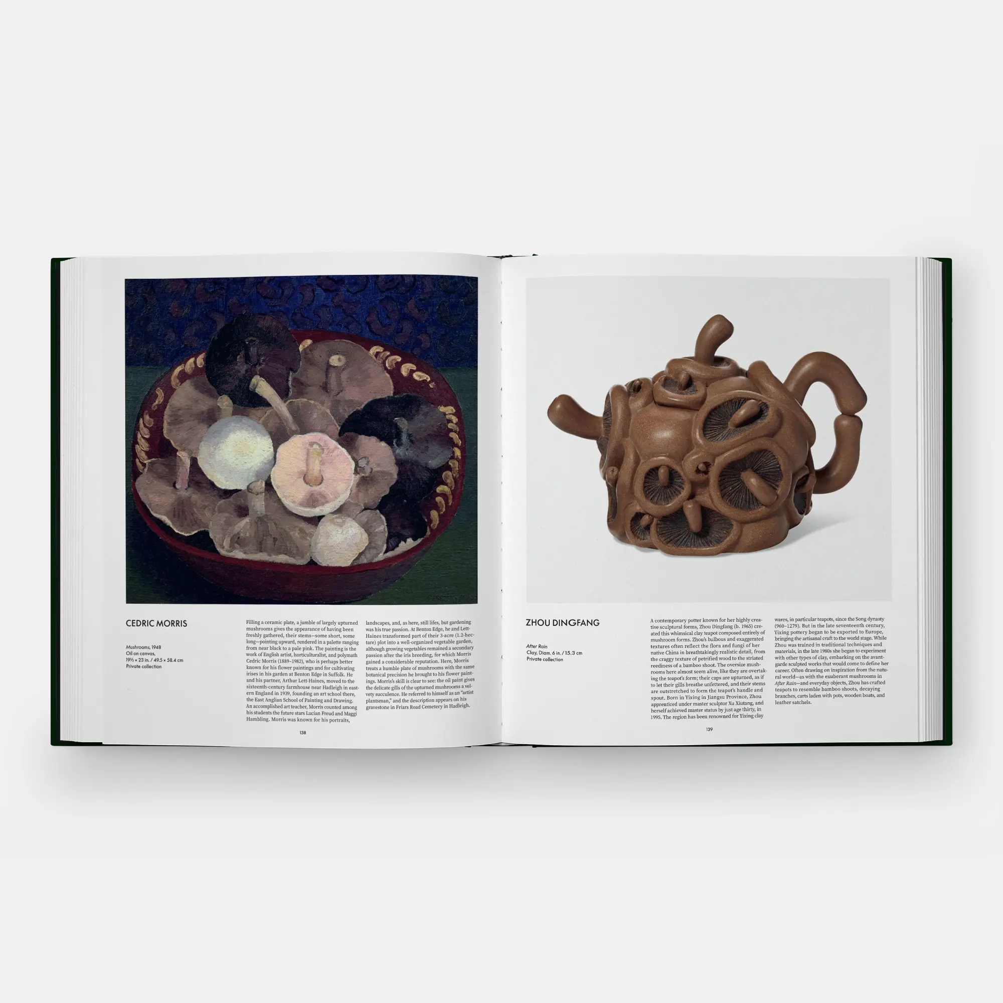 Bild: 9781837292066 | Fungi | The World of Mushrooms | Editors Phaidon (u. a.) | Buch | 2026