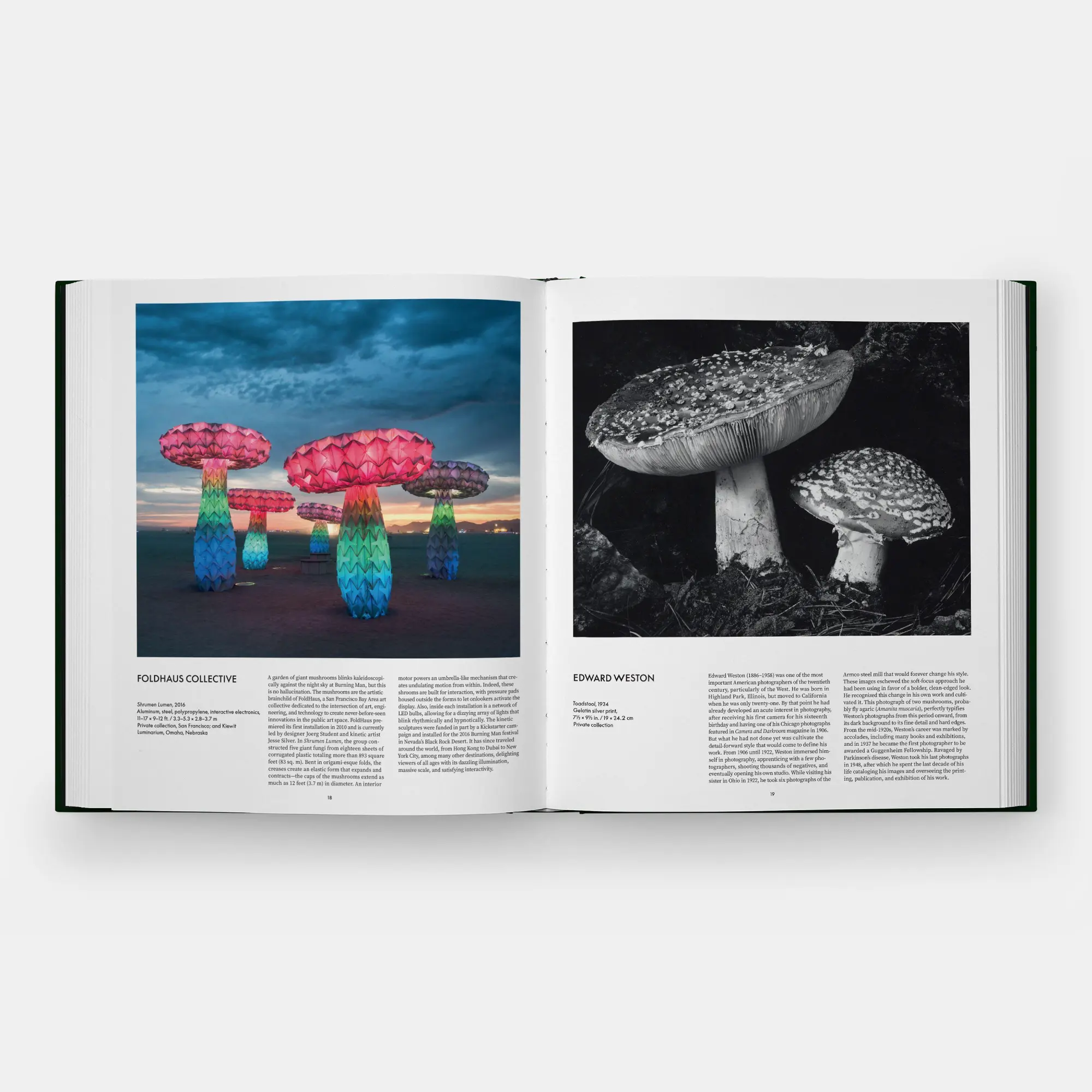 Bild: 9781837292066 | Fungi | The World of Mushrooms | Editors Phaidon (u. a.) | Buch | 2026