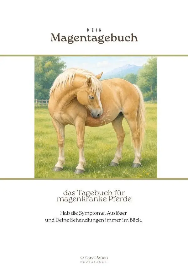 Cover: 9783565502066 | mein Magentagebuch | das Tagebuch für magenkranke Pferde.DE | Pauen