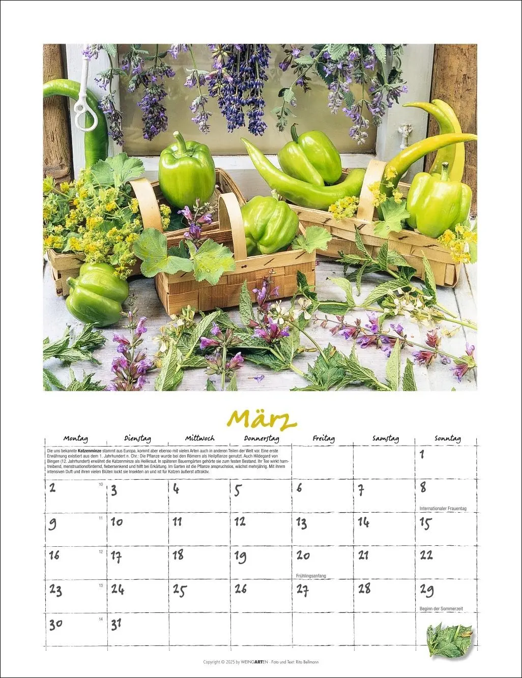 Bild: 9783839902066 | Augenschmaus Kalender 2026 - Gewürze und Kräuter rund ums Jahr | 14 S.