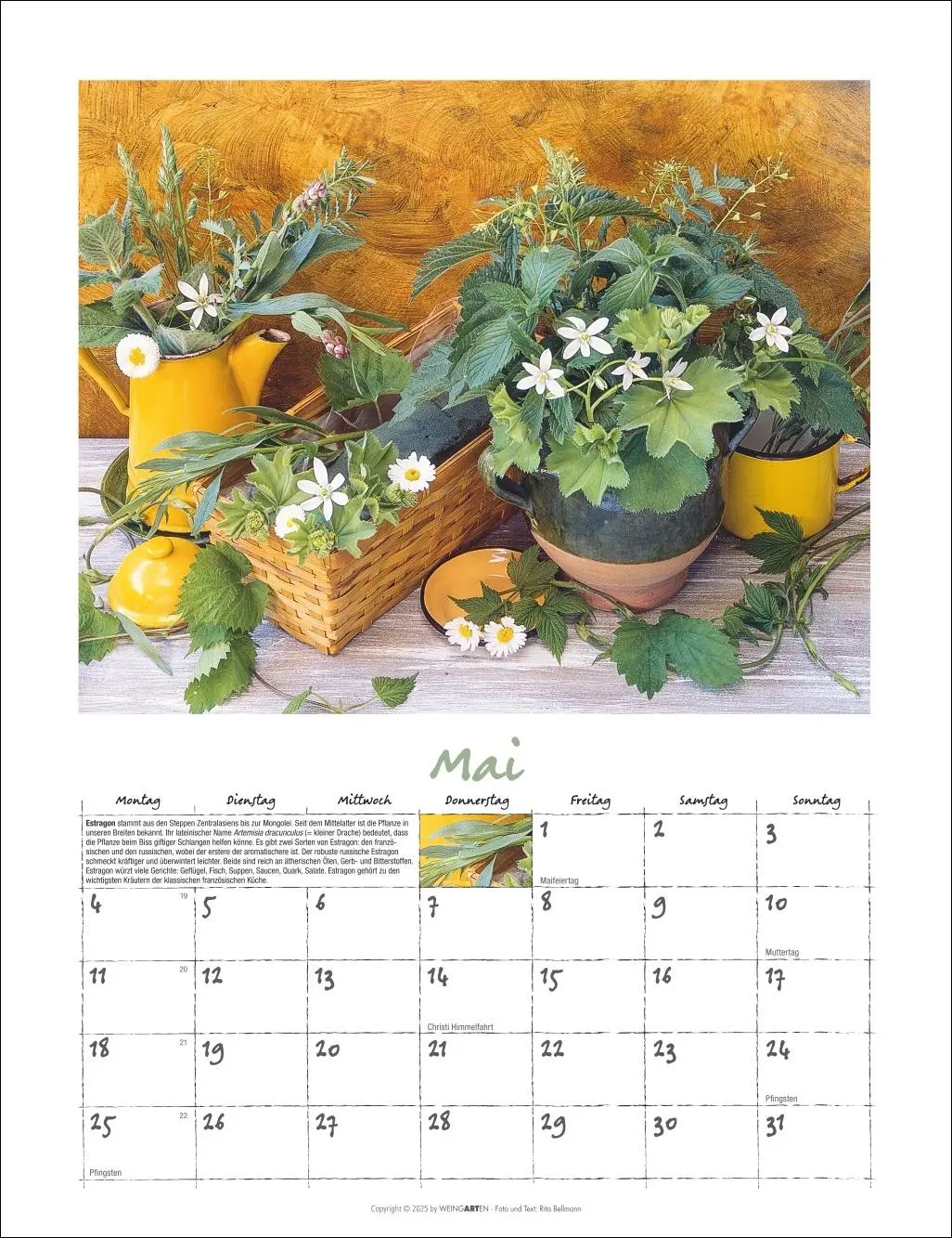 Bild: 9783839902066 | Augenschmaus Kalender 2026 - Gewürze und Kräuter rund ums Jahr | 14 S.