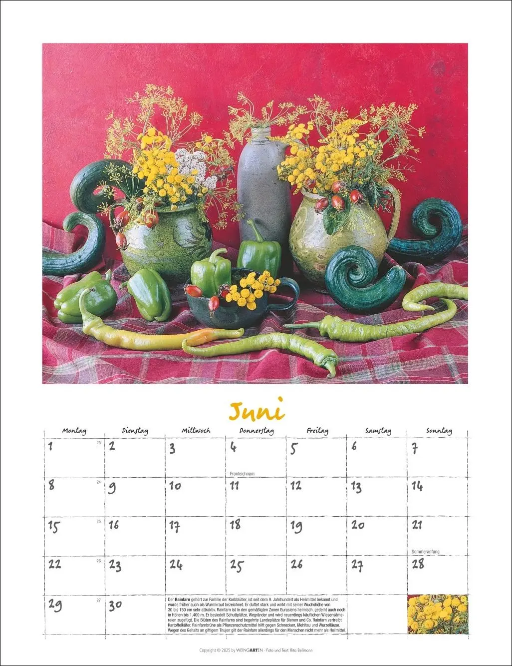 Bild: 9783839902066 | Augenschmaus Kalender 2026 - Gewürze und Kräuter rund ums Jahr | 14 S.