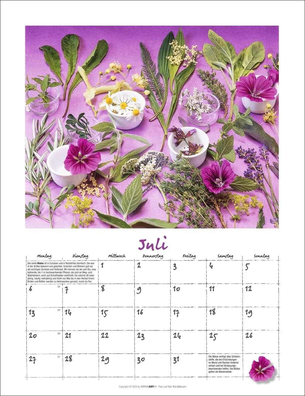Bild: 9783839902066 | Augenschmaus Kalender 2026 - Gewürze und Kräuter rund ums Jahr | 14 S.