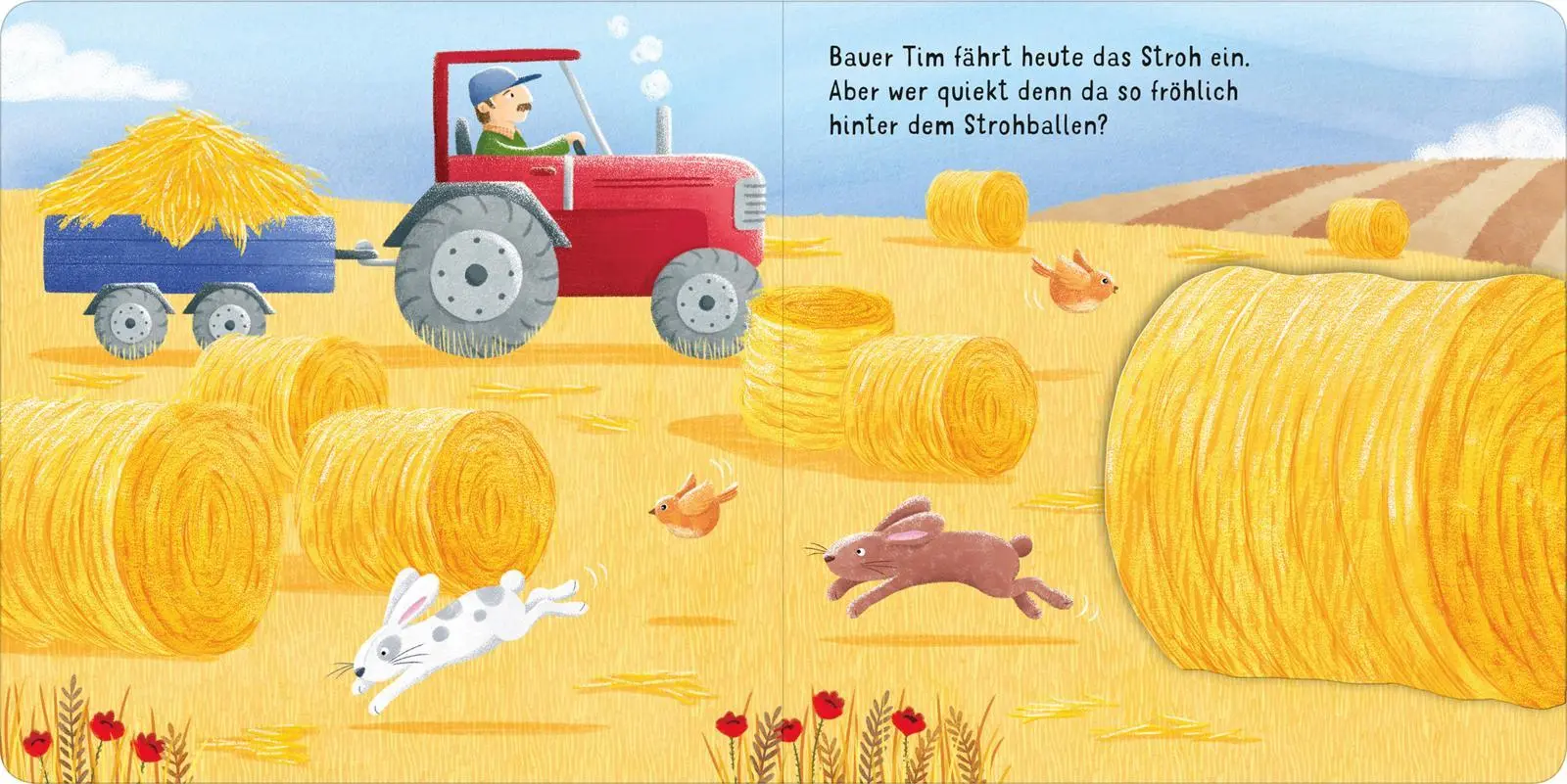 Bild: 9783845842066 | Klapp auf - schau rein: Bauernhof | Mit unzerreißbaren Klappen | Costa