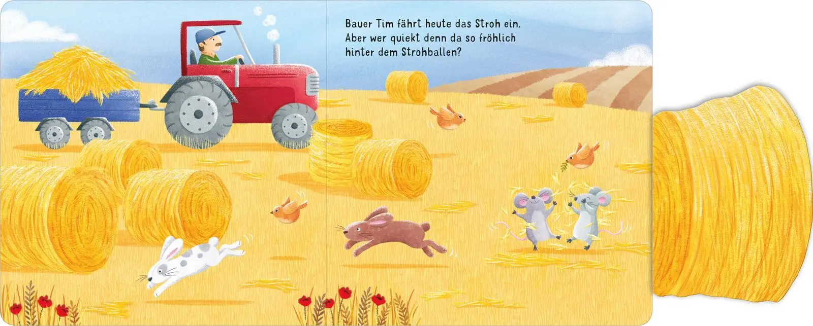 Bild: 9783845842066 | Klapp auf - schau rein: Bauernhof | Mit unzerreißbaren Klappen | Costa