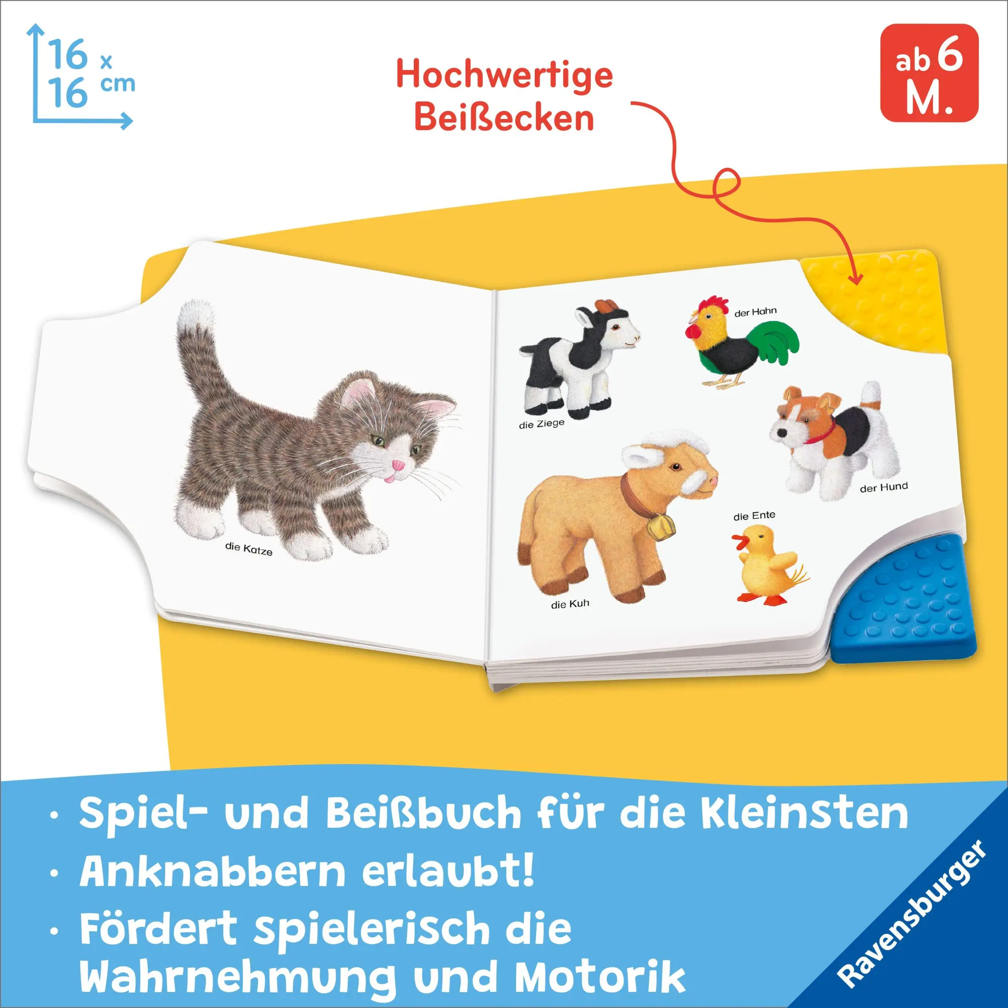 Bild: 9783473422166 | Erste Bilder - Erste Wörter: Mein Beißbuch | Helmut Spanner | Buch